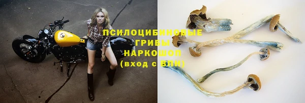 прущие крисы Зеленодольск