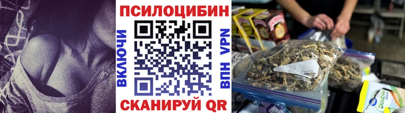 Купить закладки  Голицыно  Галлюциногенные грибы Cubensis 